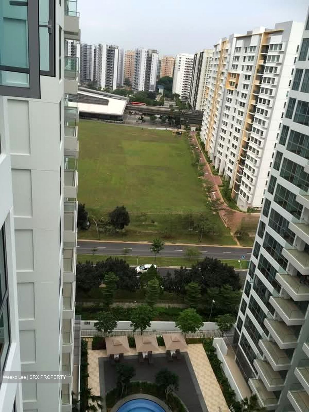 A Treasure Trove (D19), Condominium #555269131